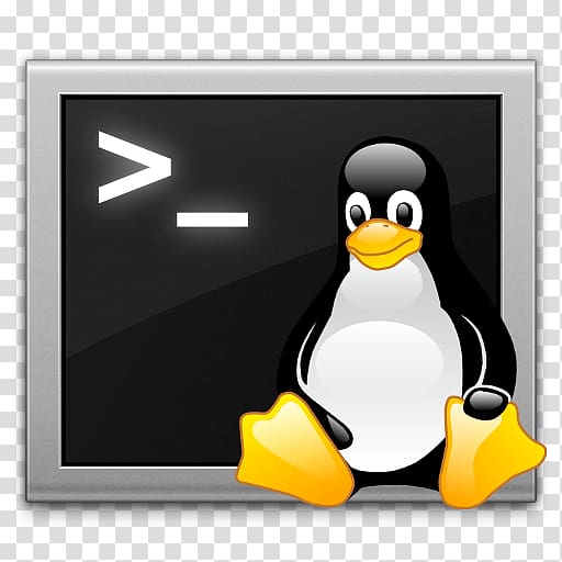 Unix Shell